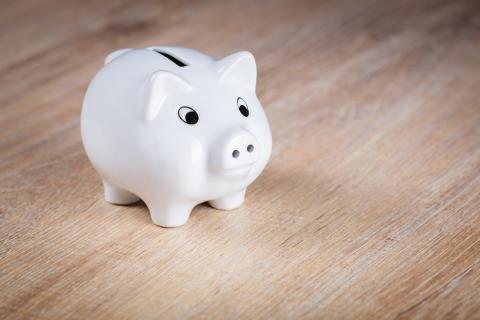 money pig
